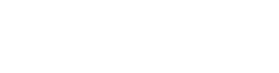 The Bizsol